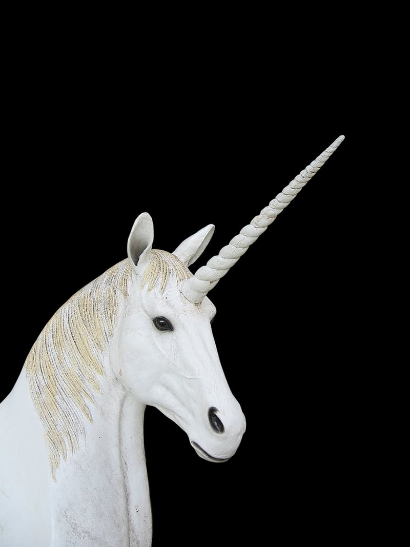 Magical Unicorn